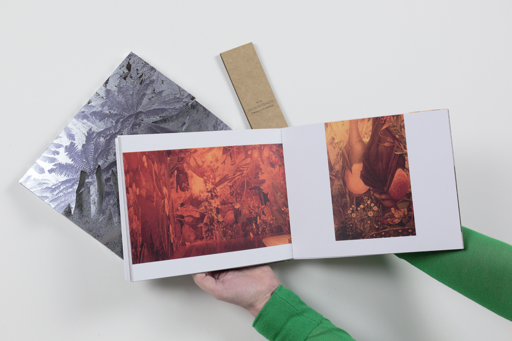 Gracia_Haby_Louise_Jennison_The_remaking_of_things_artists_book_10.png