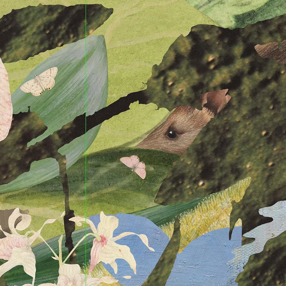 gracialouise_march_folio artists book 16.jpg
