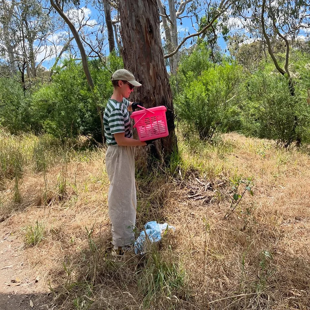 gracialouise_2024 summary_12.jpg