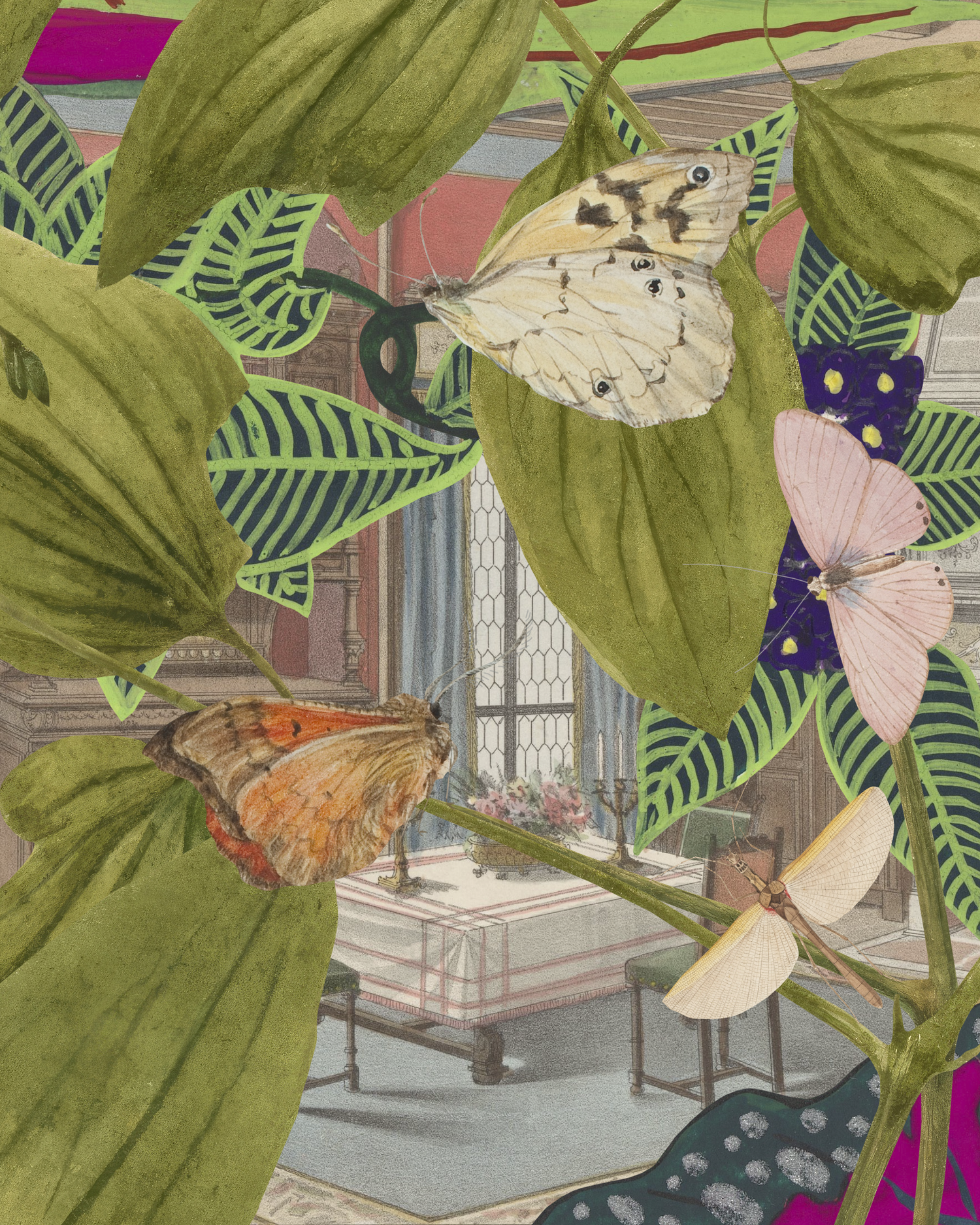 Gracia+Haby+and+Louise+Jennison_Earth+collage+01.png
