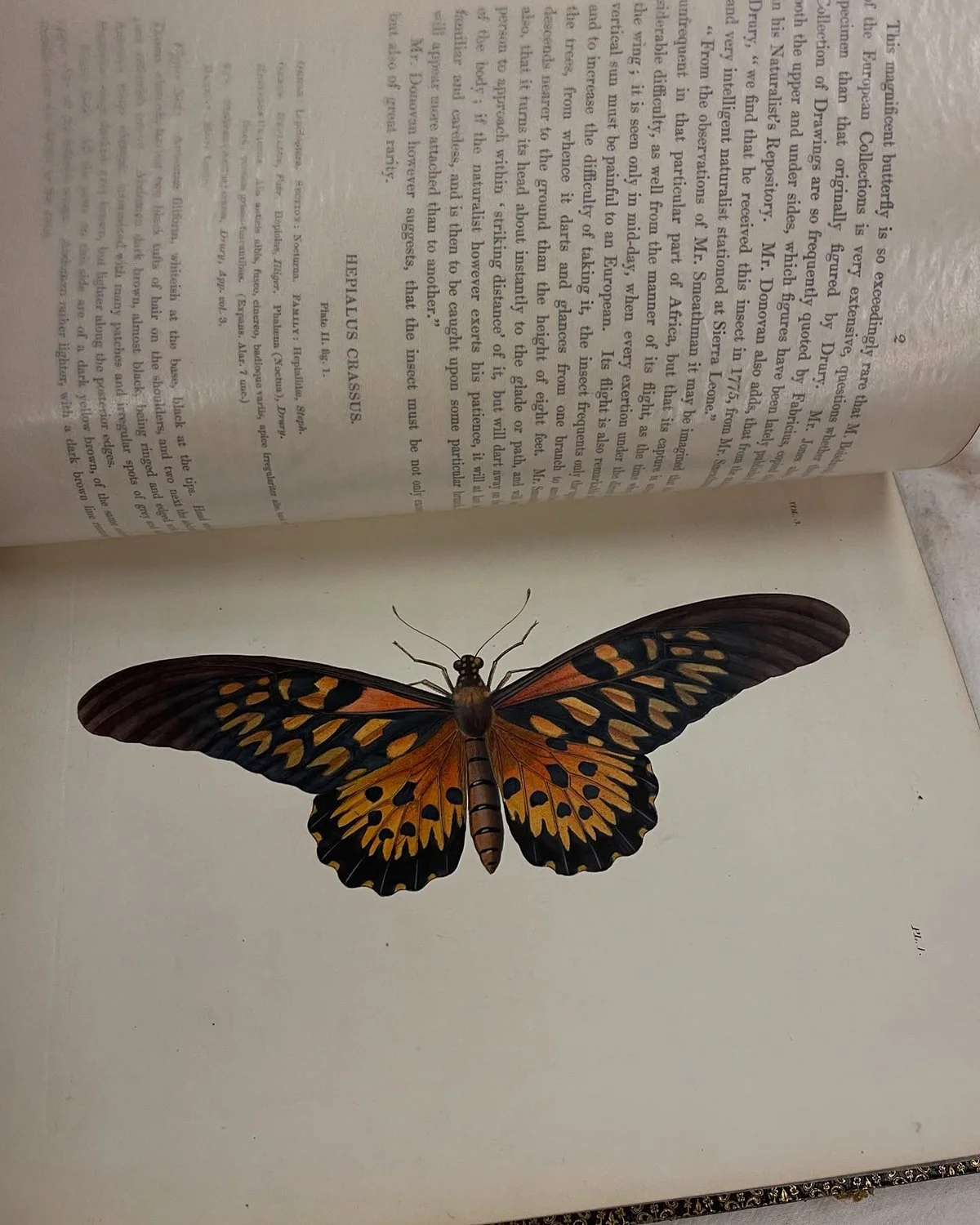 gracialouise_in the library 2025_09.jpg