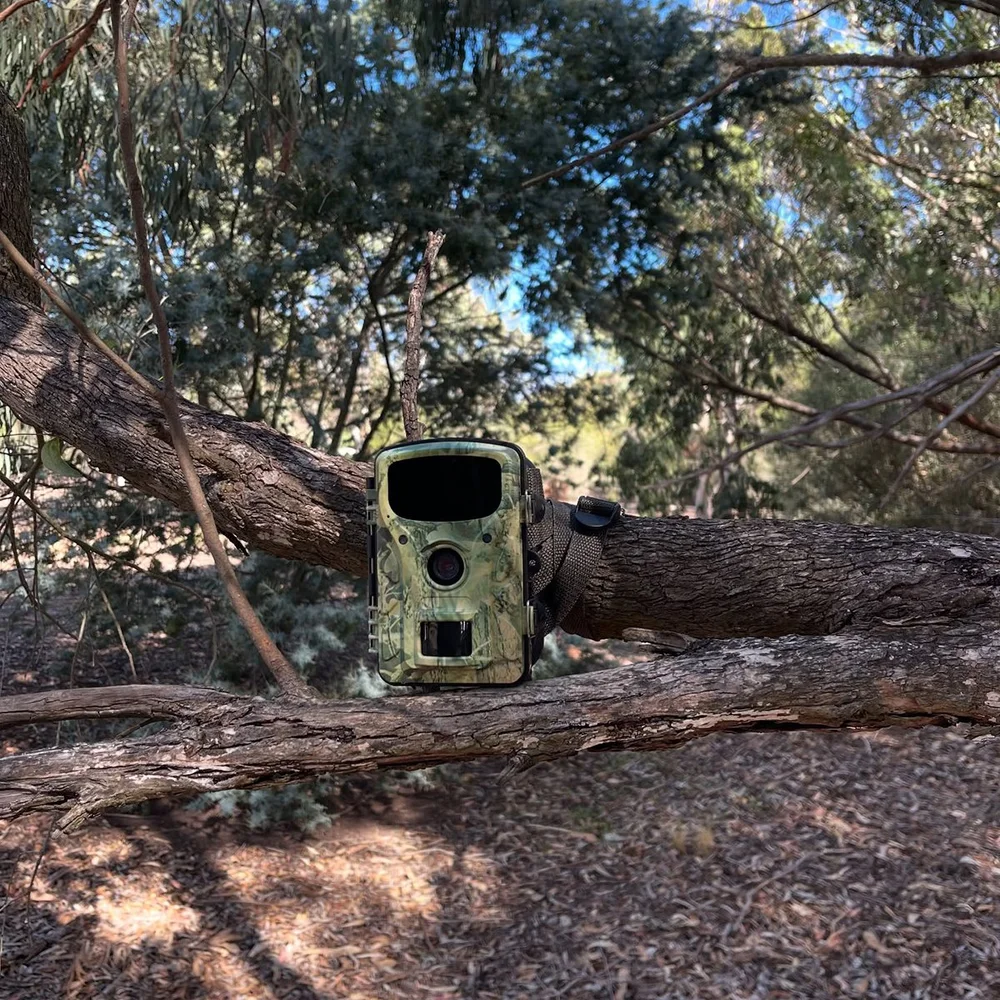 square_April_soft_release_Tiny but Wild_28.jpg