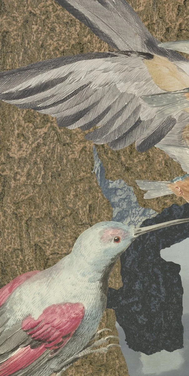 Gracia Haby and Louise Jennison_Looped Reel 13.jpg