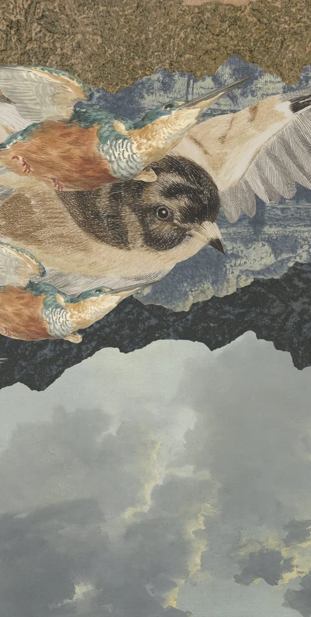 Gracia Haby and Louise Jennison_Looped Reel 14.jpg