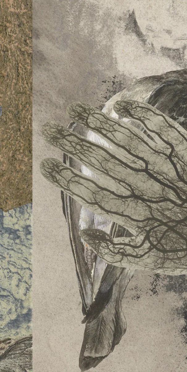 Gracia Haby and Louise Jennison_Looped Reel 22.jpg