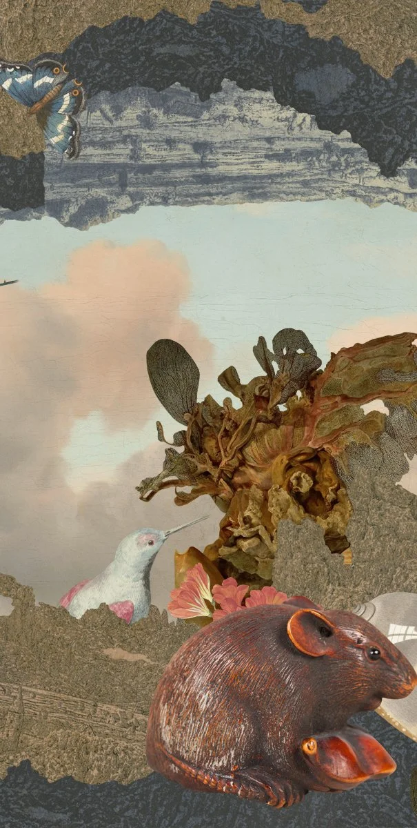 Gracia Haby and Louise Jennison_Looped Reel 24.jpg
