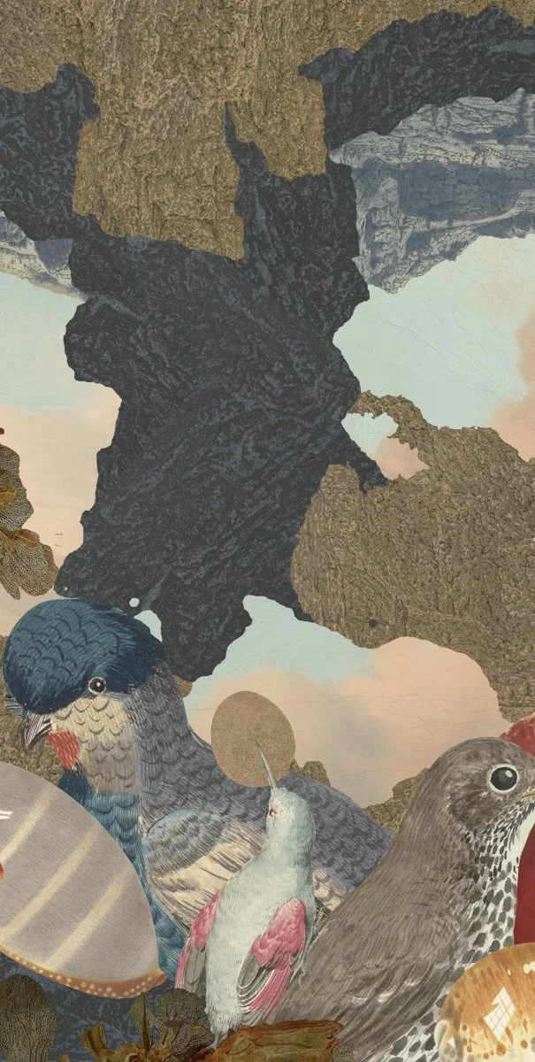 Gracia Haby and Louise Jennison_Looped Reel 25.jpg