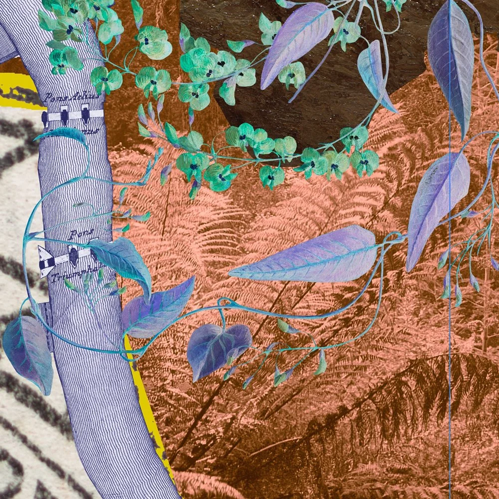 gracialouise_Velvet ant commission 2025_05.jpg