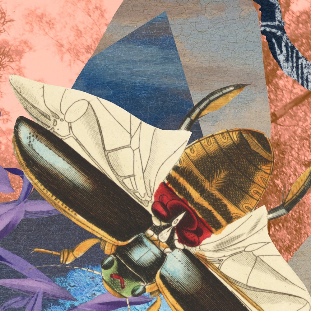 gracialouise_Velvet ant commission 2025_13.jpg