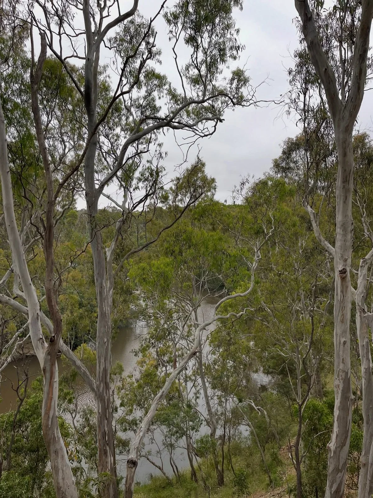 Gracia Haby Louise Jennison Tiny but Wild Jan 2026 04.jpg