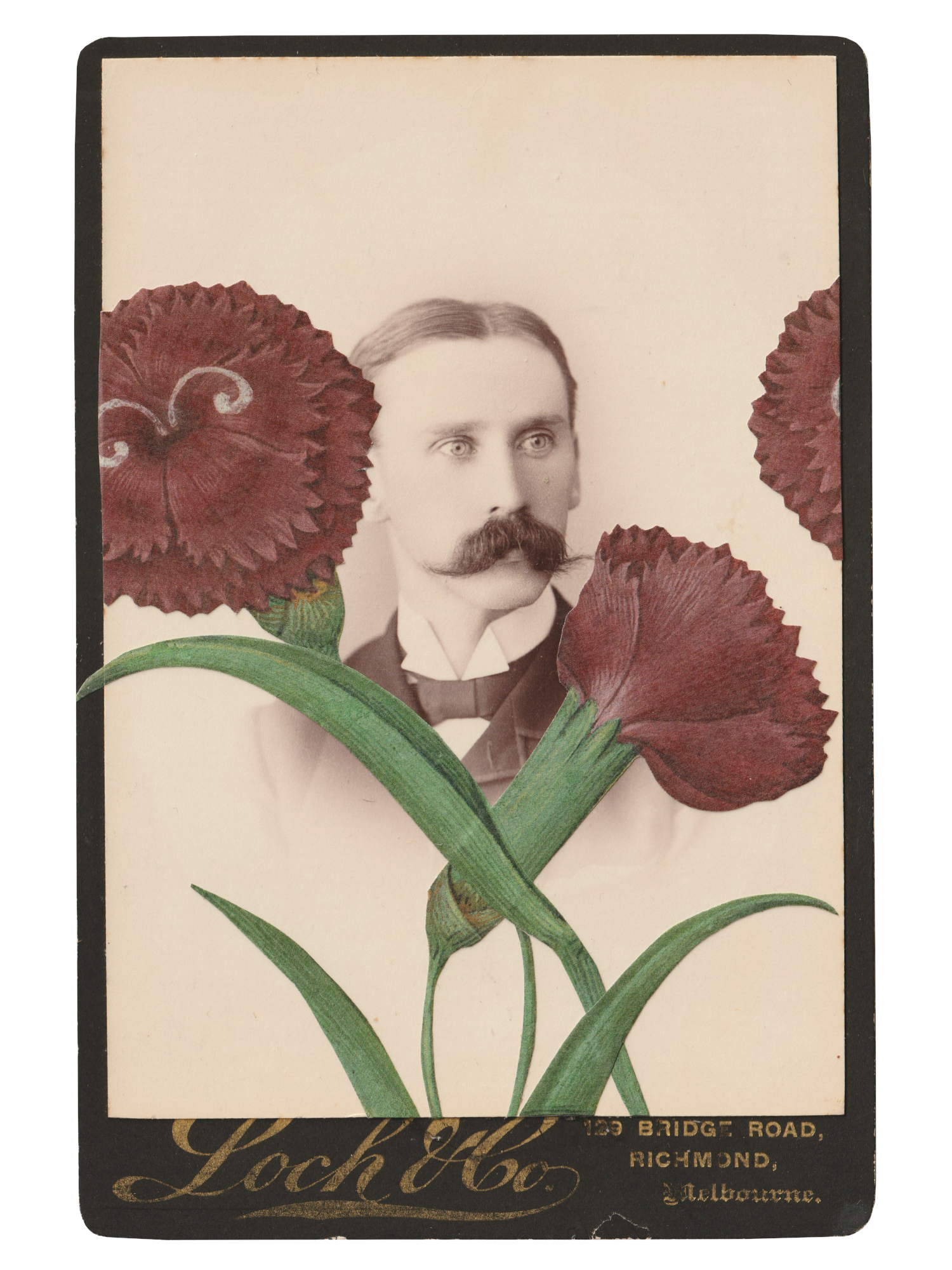 Gracia Haby _Plant Life 01.png