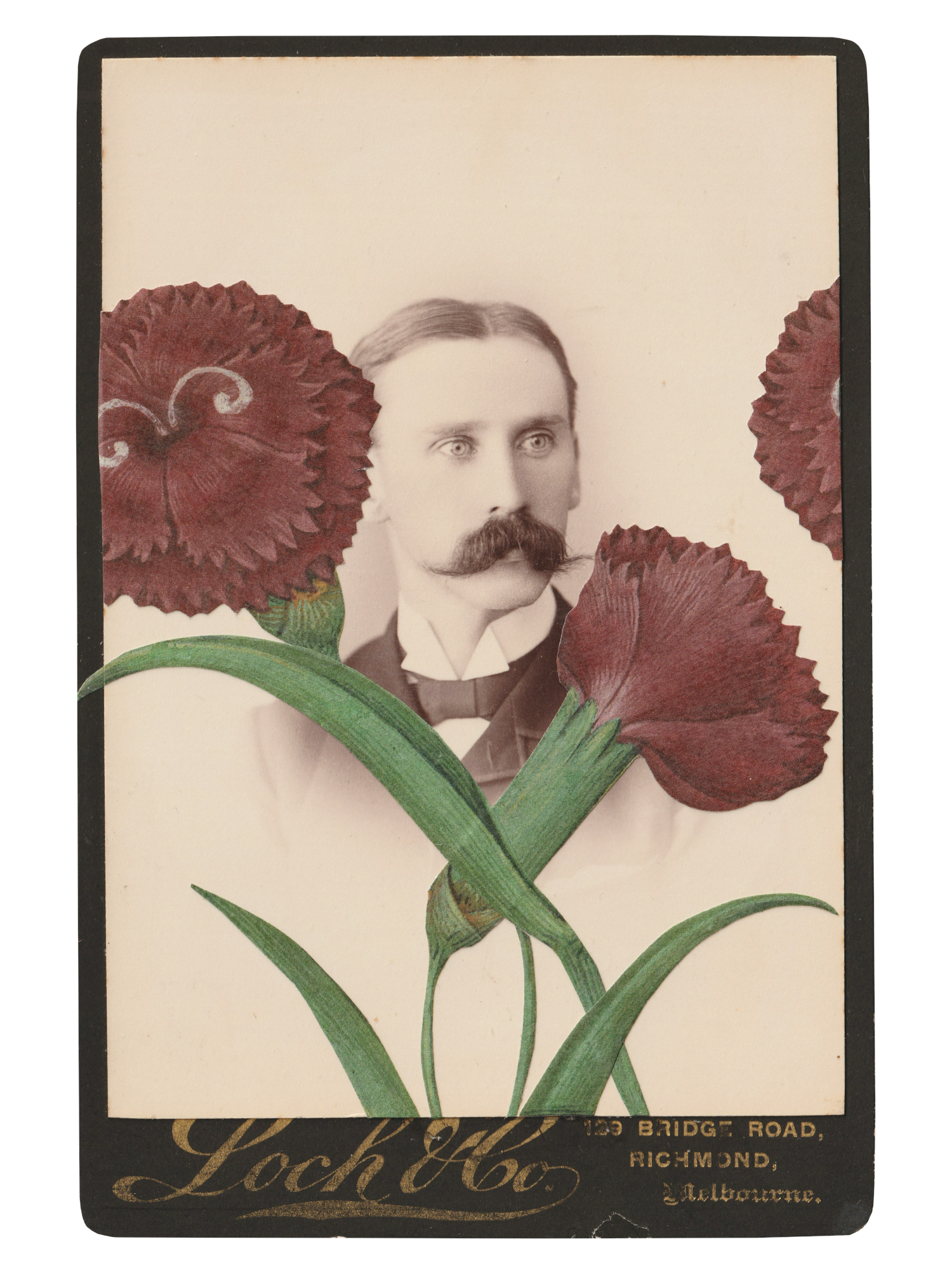 SALVAGED RELATIVES LISTENING TO PLANTS