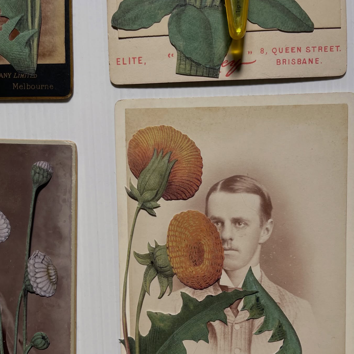 Gracia Haby_Louise Jennison_salvaged relatives 2026_04.png