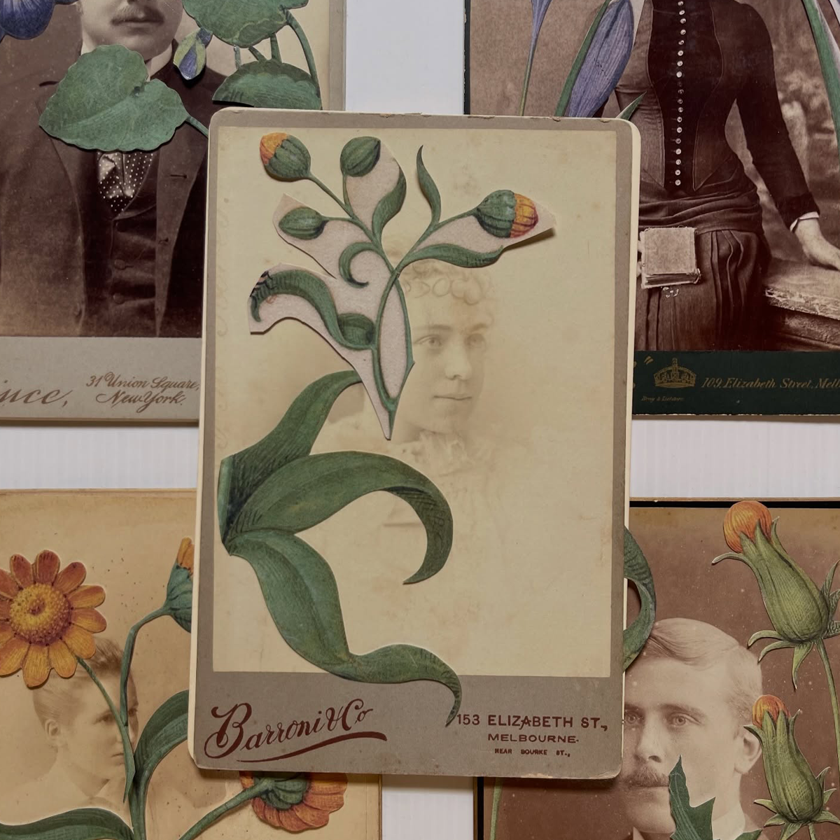 Gracia Haby_Louise Jennison_salvaged relatives 2026_06.png