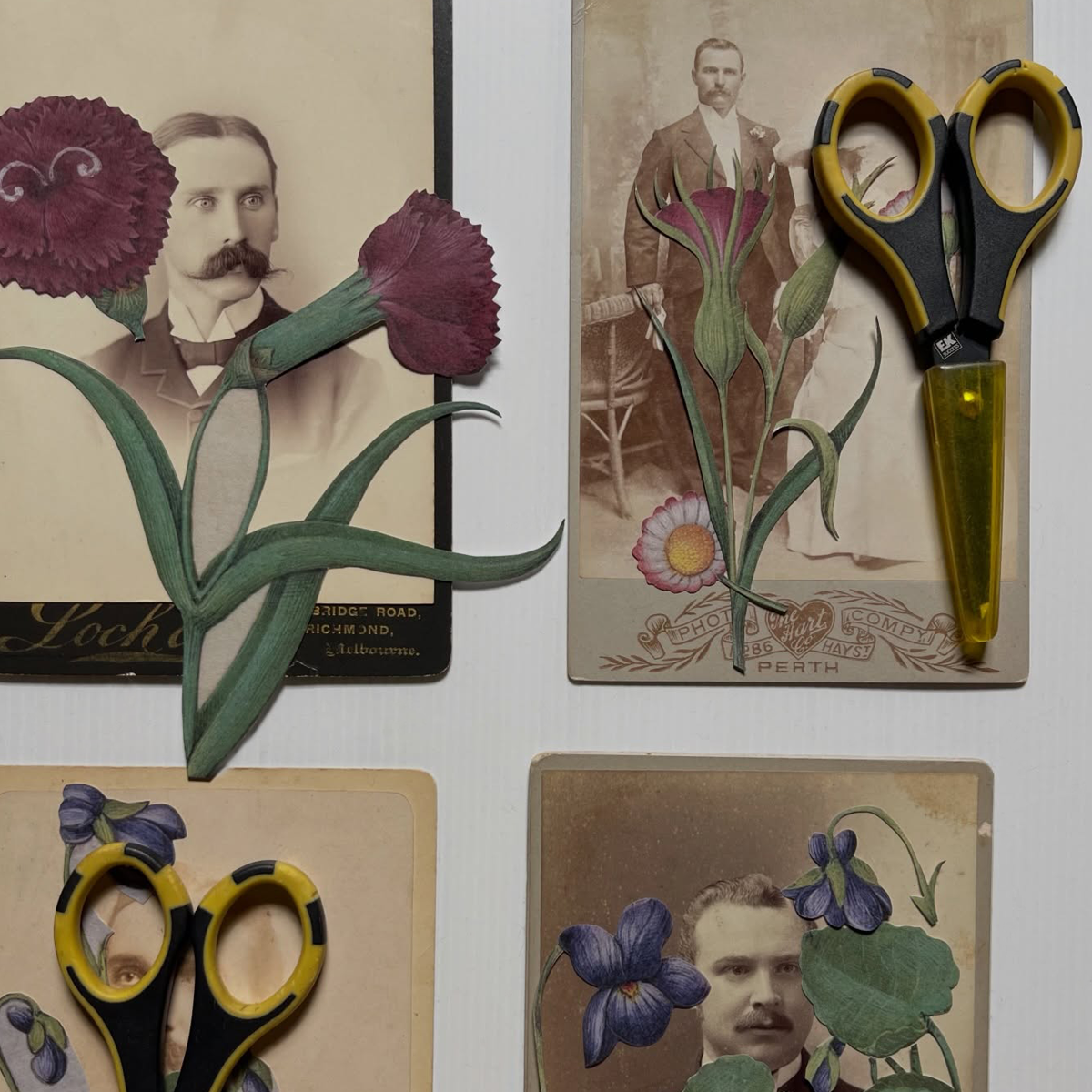 Gracia Haby_Louise Jennison_salvaged relatives 2026_09.png