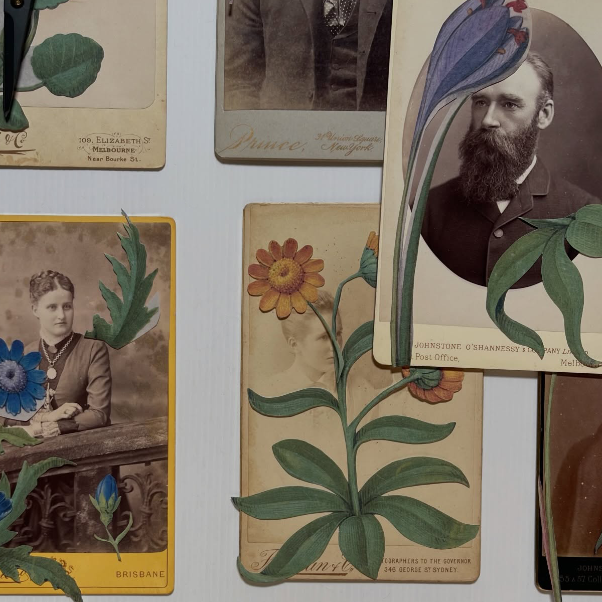 Gracia Haby_Louise Jennison_salvaged relatives 2026_10.png