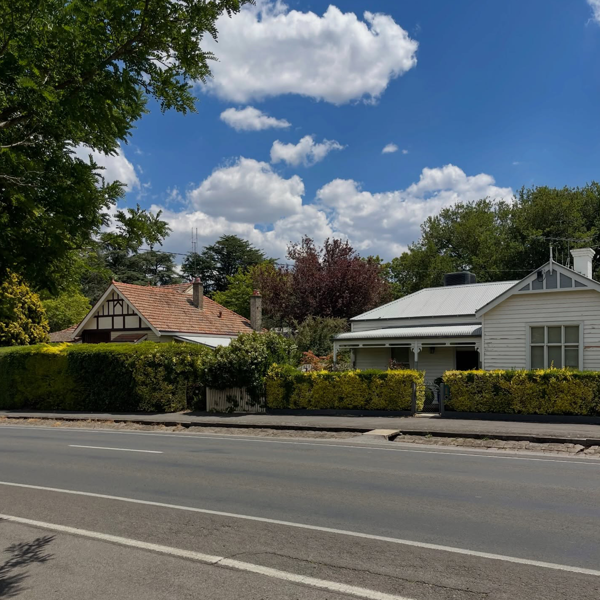 Gracia Haby_Louise Jennison_salvaged relatives 2026_14.png