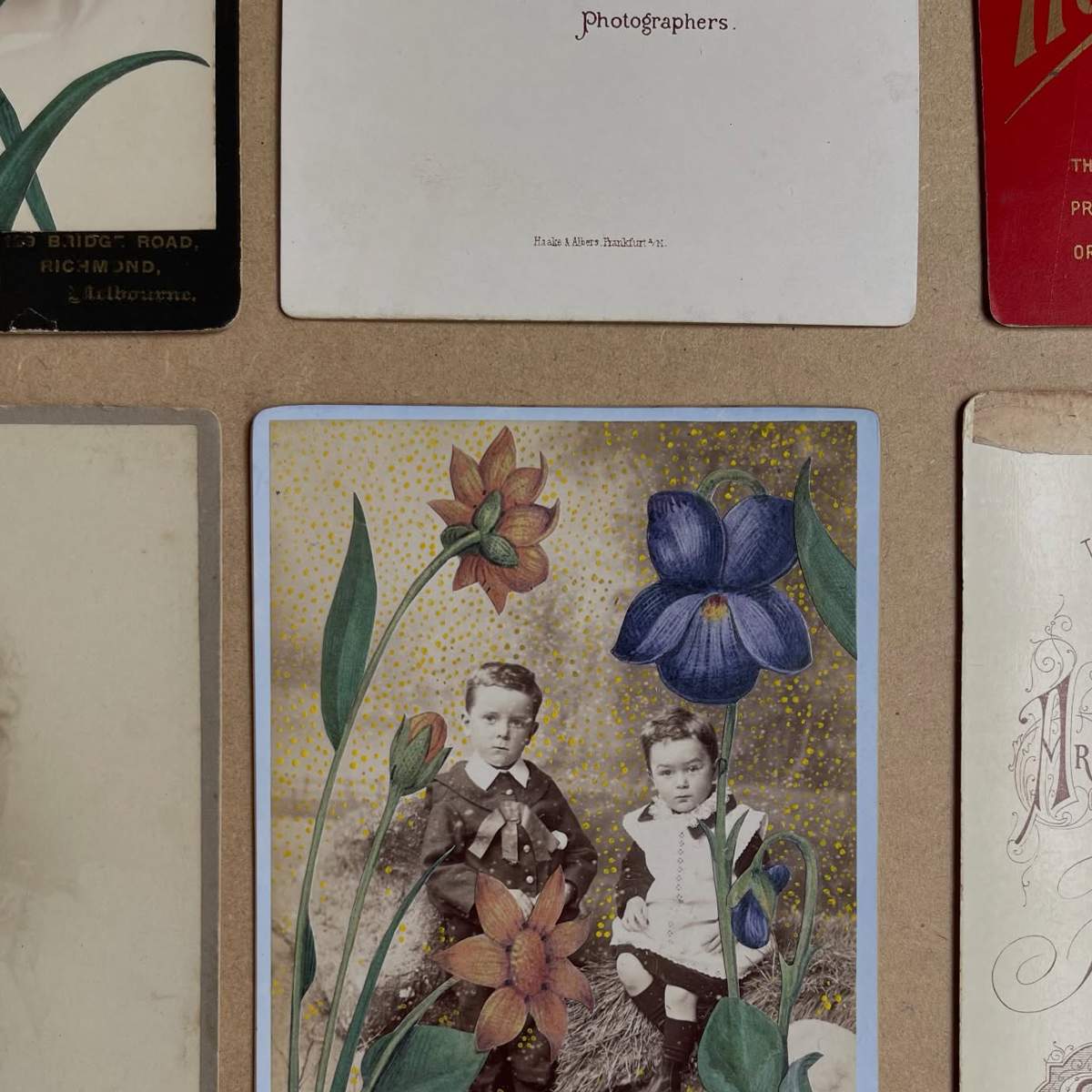 Gracia Haby_Louise Jennison_salvaged relatives 2026_17.png