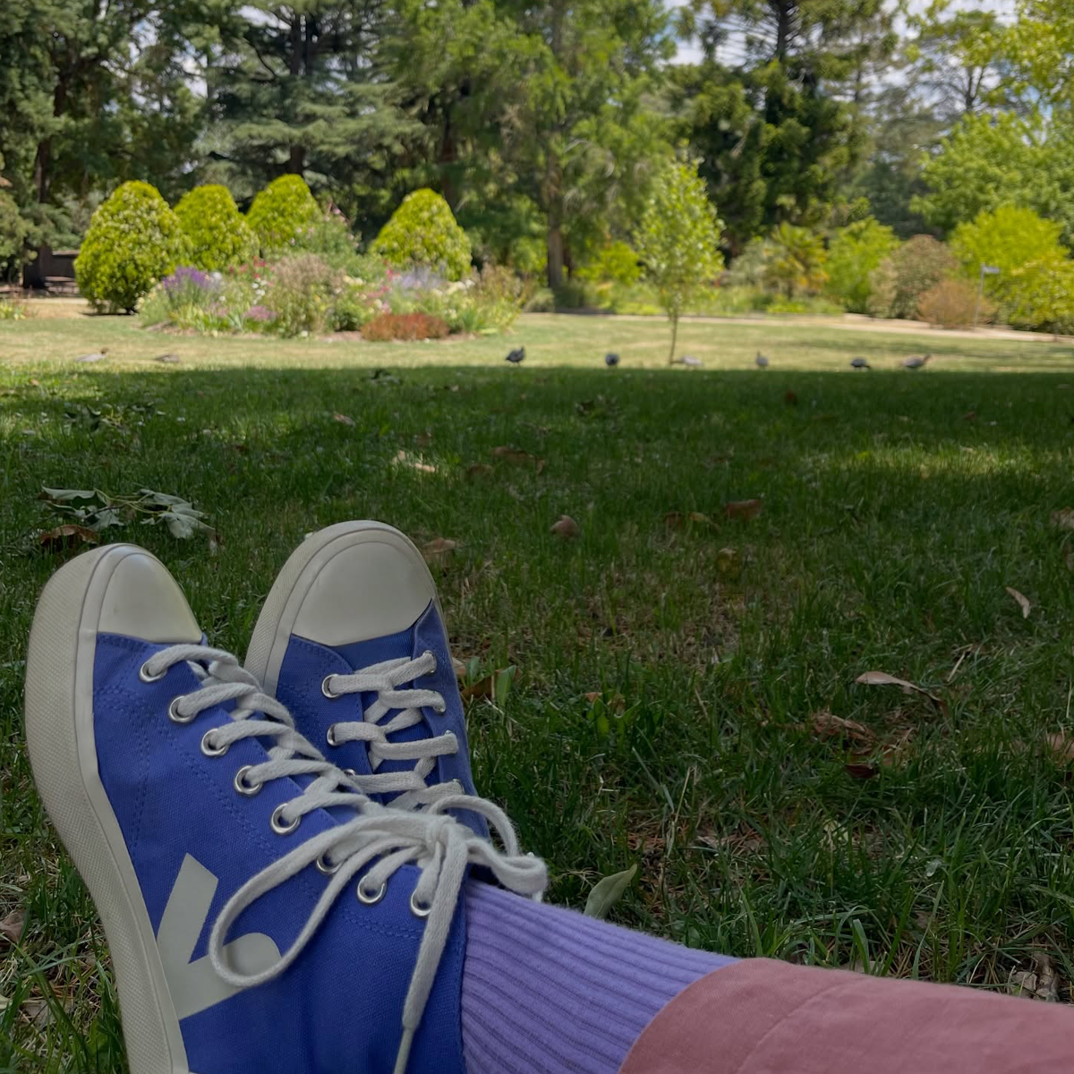 Gracia Haby_Louise Jennison_salvaged relatives 2026_18.png