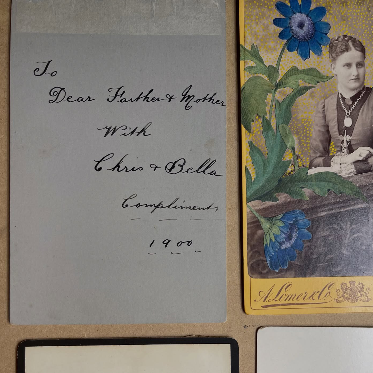 Gracia Haby_Louise Jennison_salvaged relatives 2026_19.png