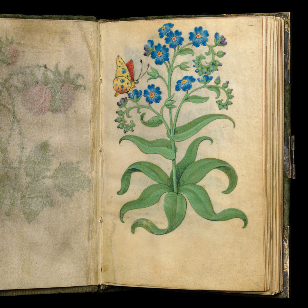 Gracia Haby_Louise Jennison_salvaged relatives 2026_21.png