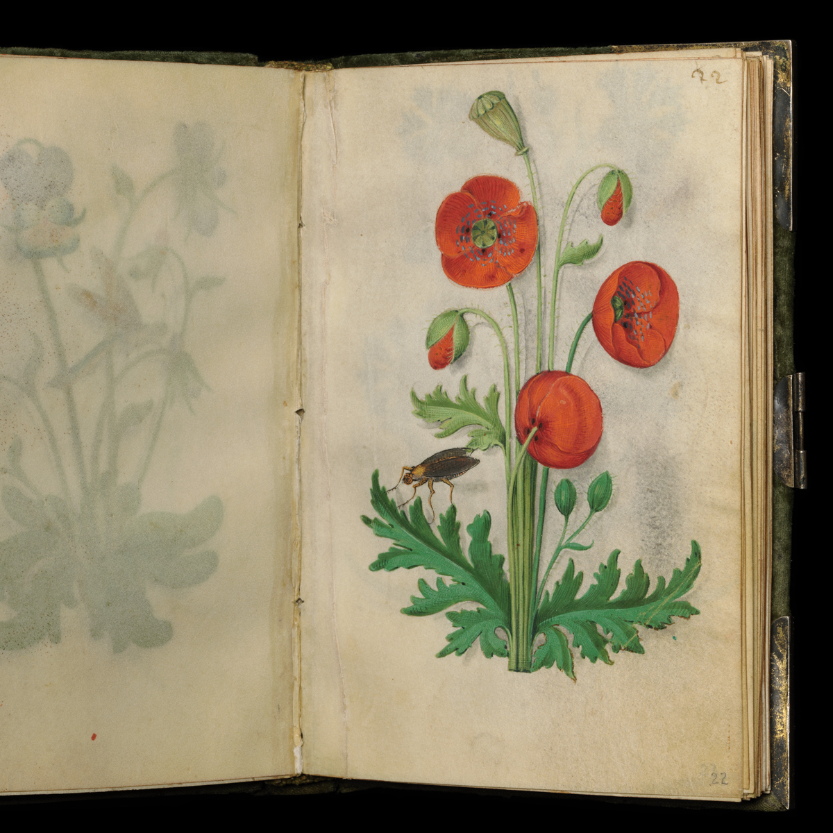 Gracia Haby_Louise Jennison_salvaged relatives 2026_22.png