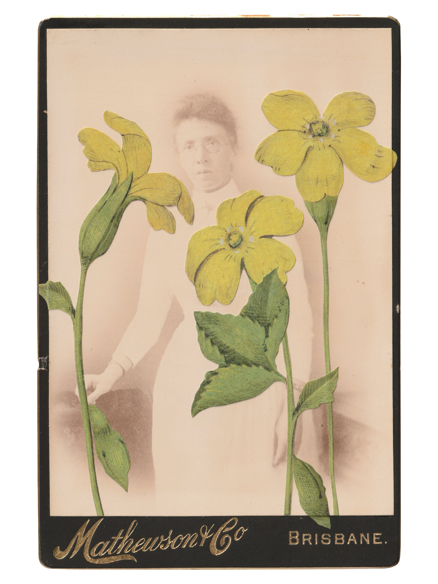 Gracia Haby _Plant Life 02.png