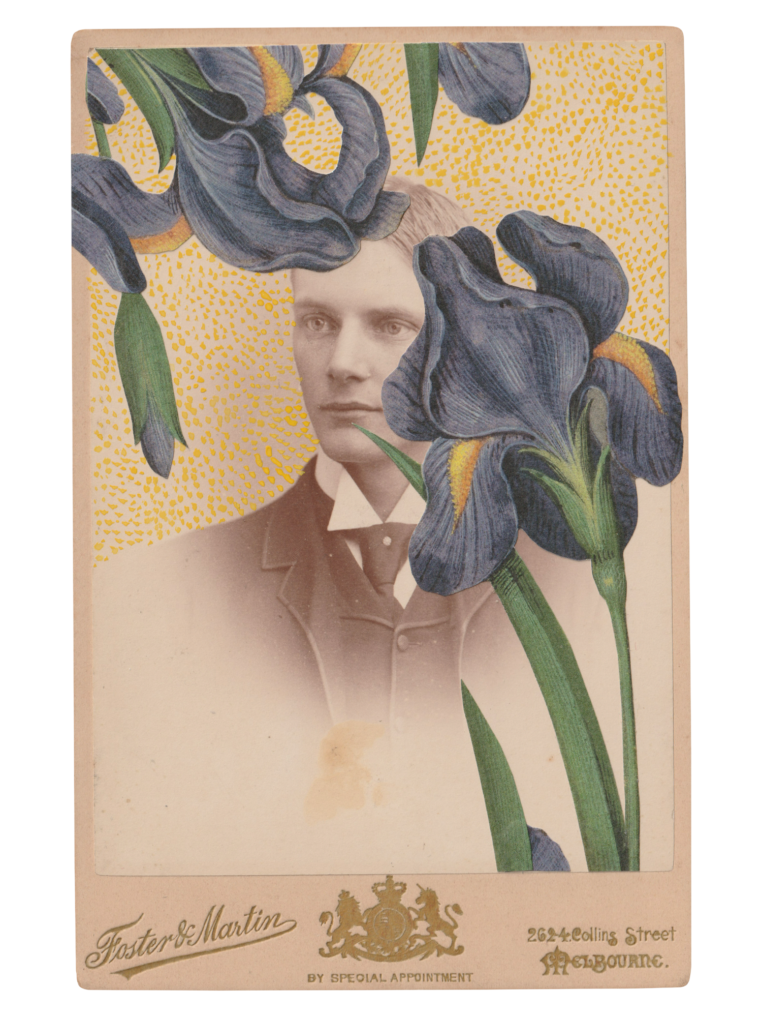 Gracia Haby _Plant Life 07.png