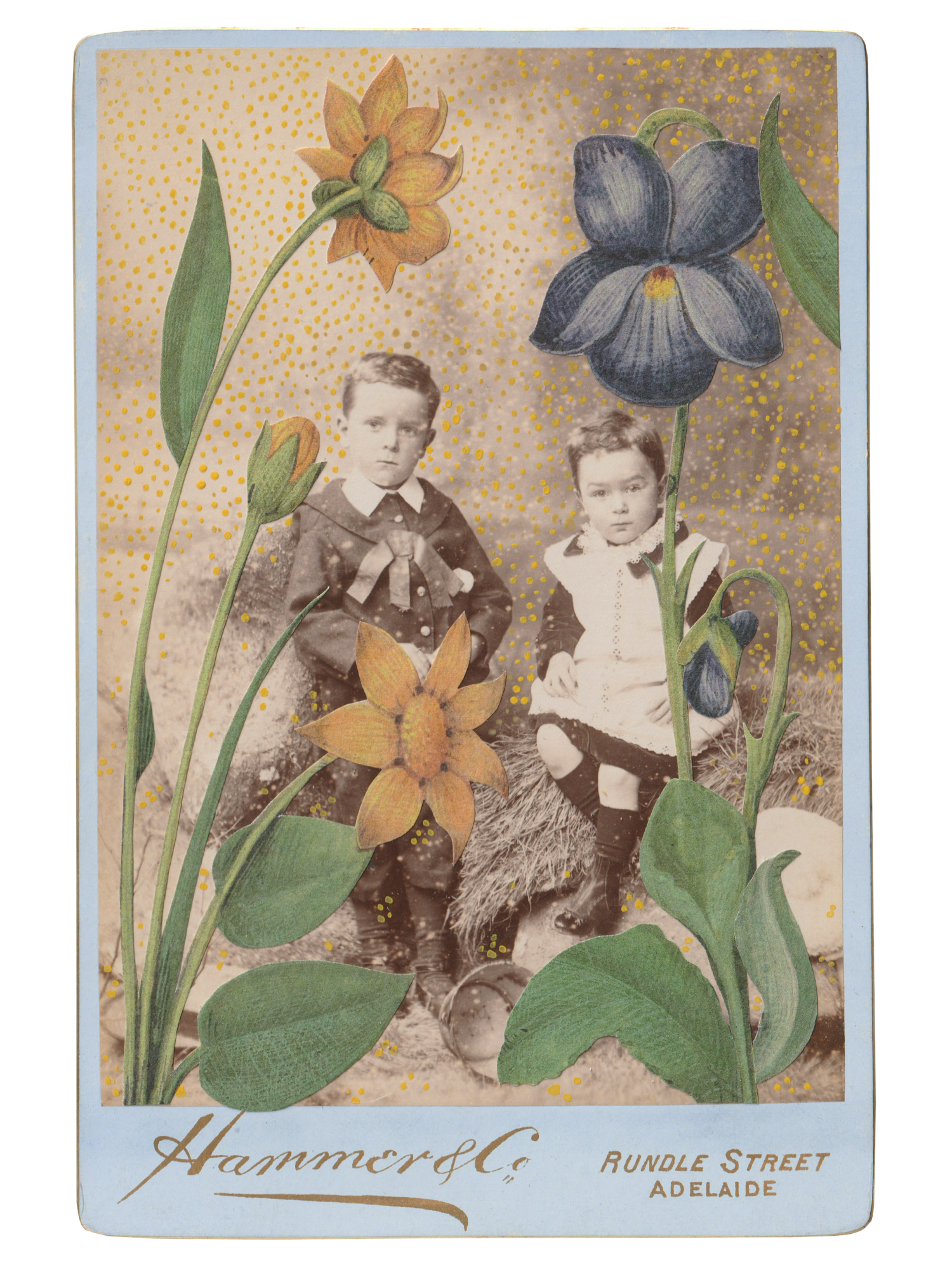 Gracia Haby _Plant Life 09.png