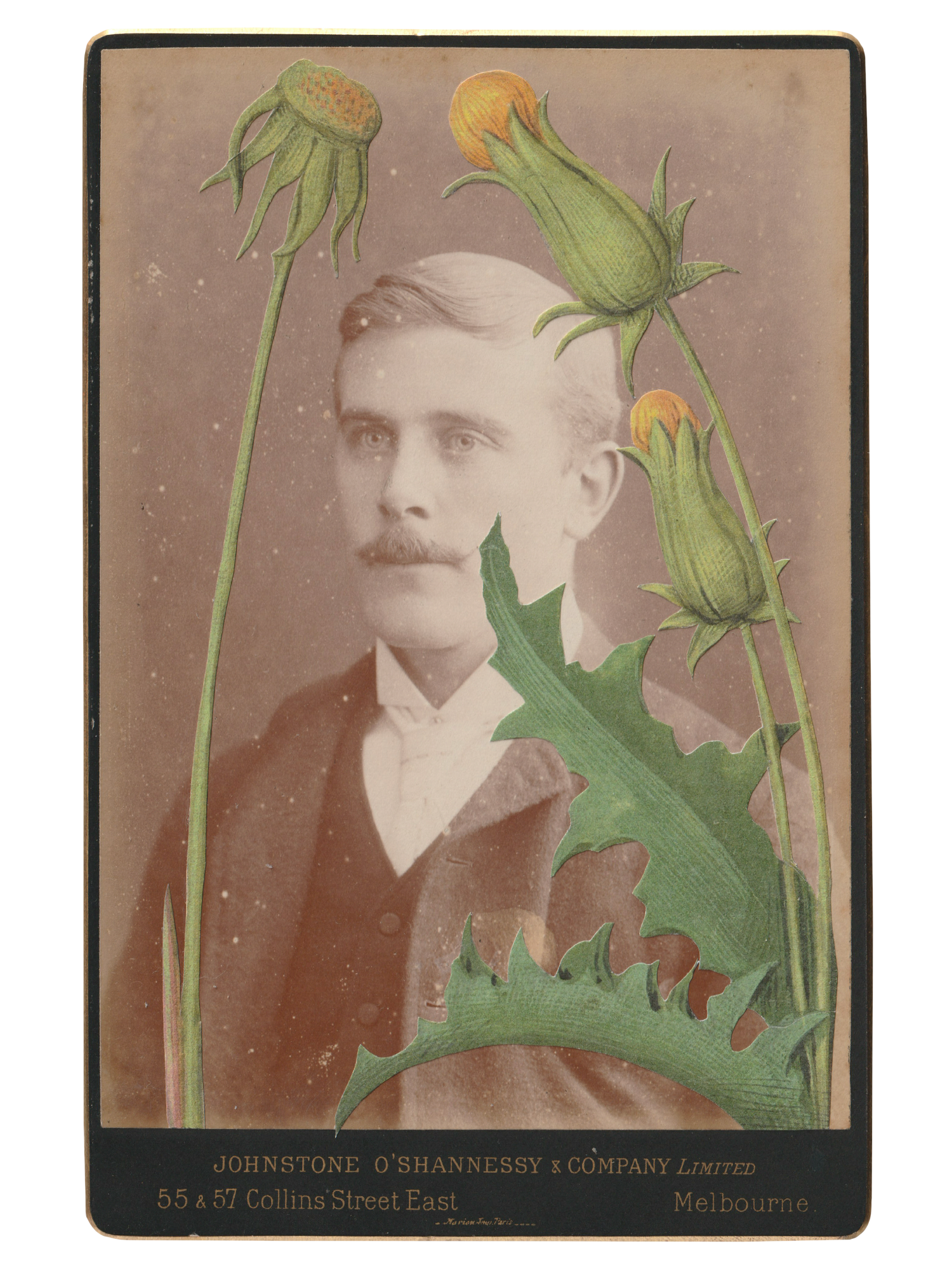 Gracia Haby _Plant Life 10.png