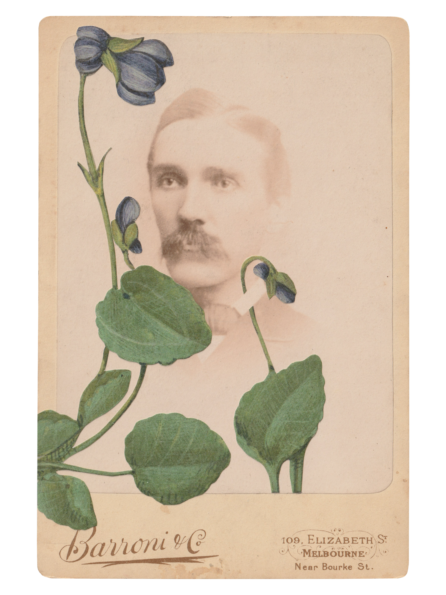 Gracia Haby _Plant Life 12.png