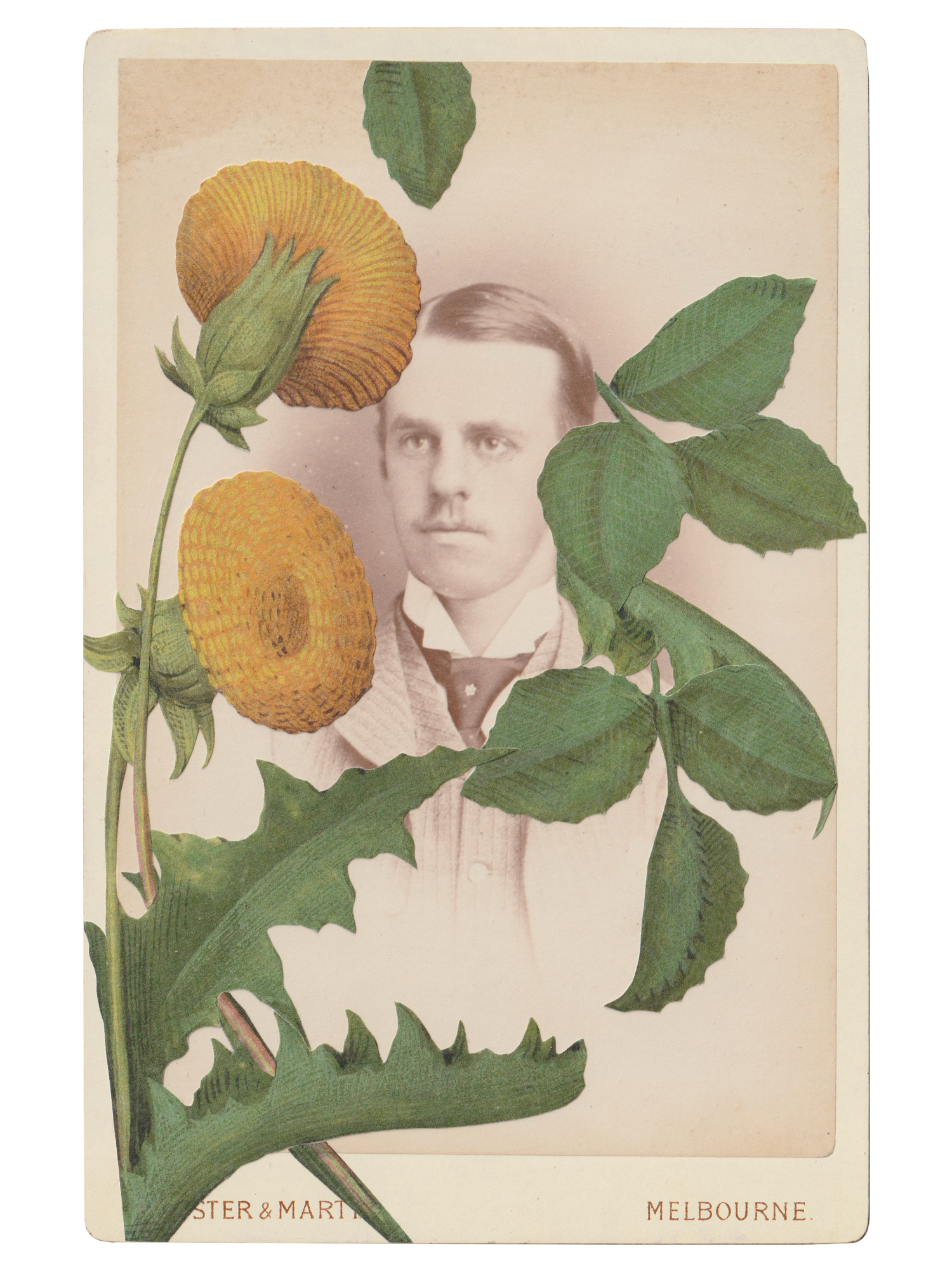 Gracia Haby _Plant Life 13.png