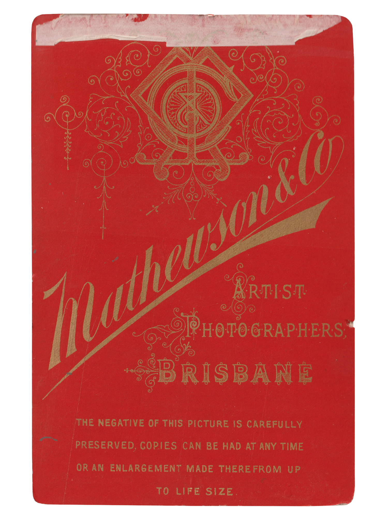 Gracia Haby _Plant Life 15.png