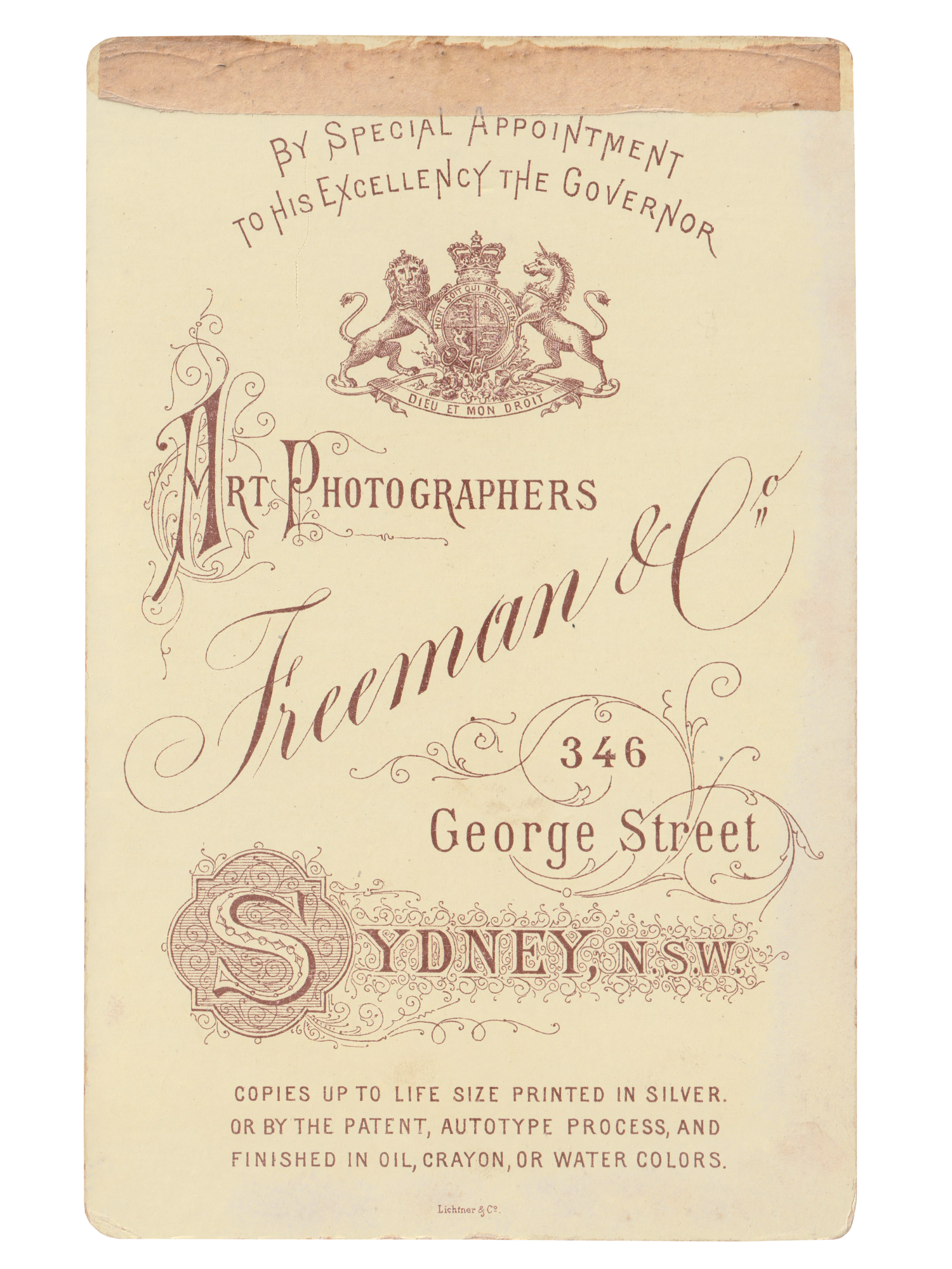 Gracia Haby _Plant Life 17.png