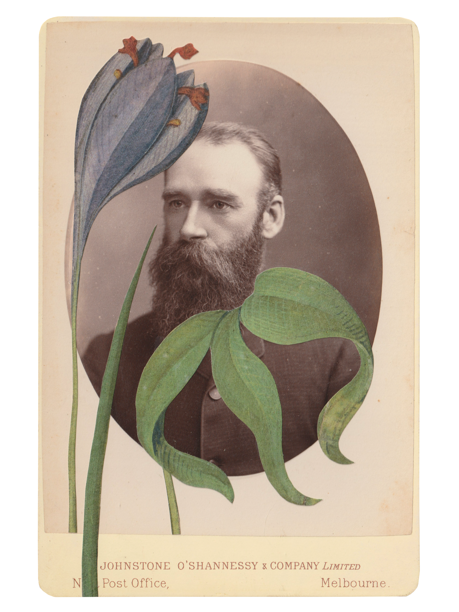 Gracia Haby _Plant Life 19.png