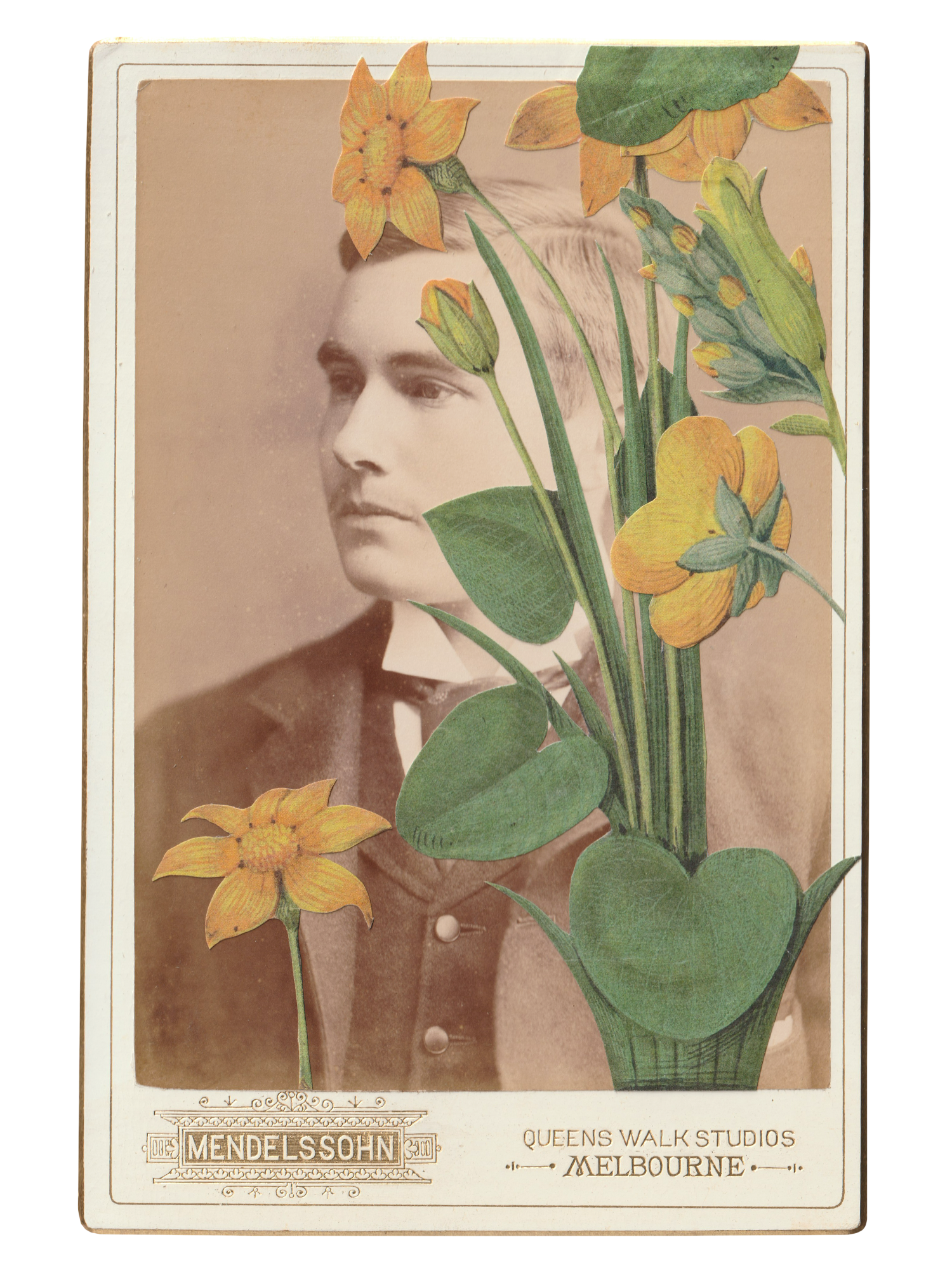 Gracia Haby _Plant Life 18.png