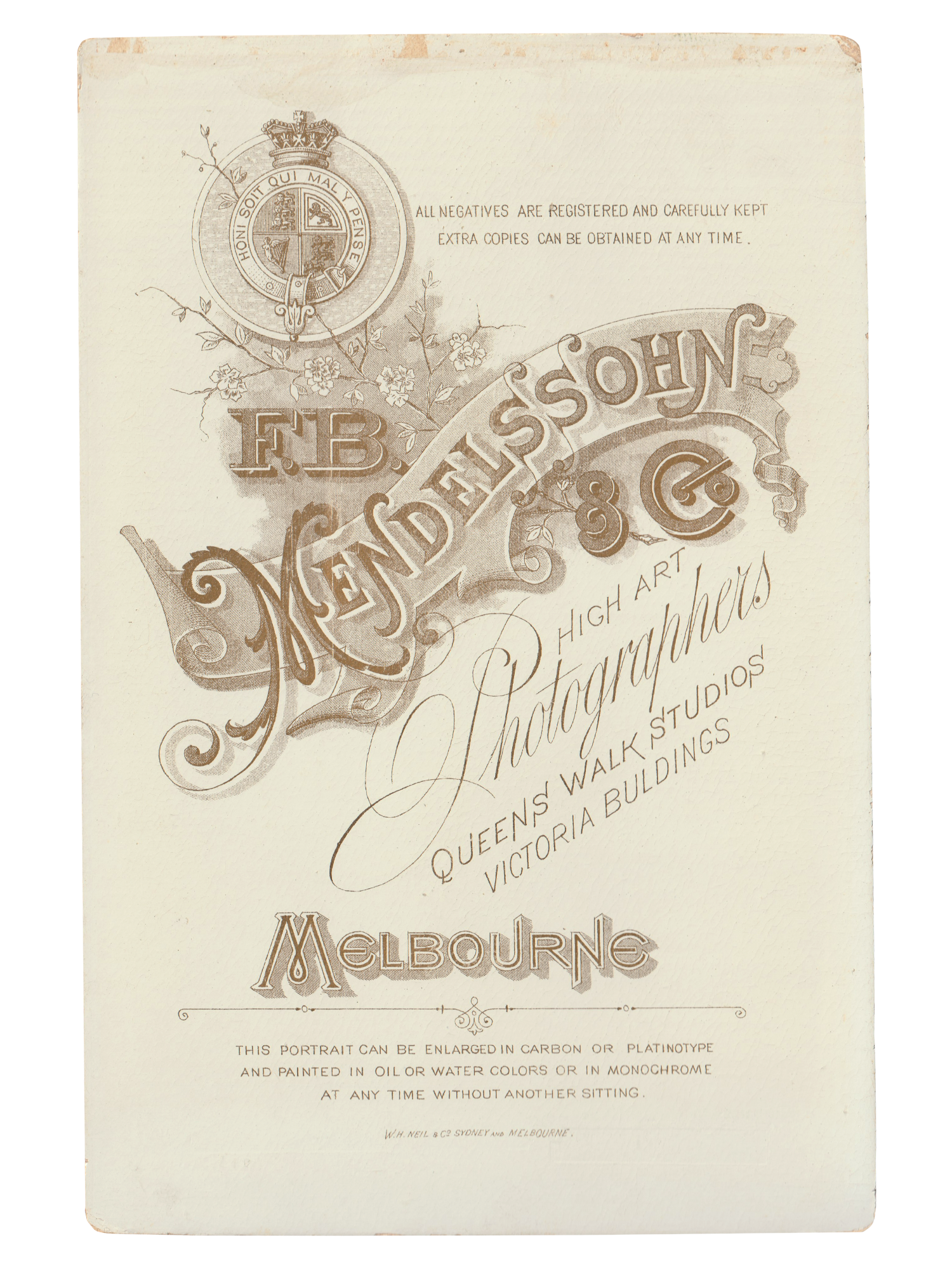 Gracia Haby _Plant Life 21.png