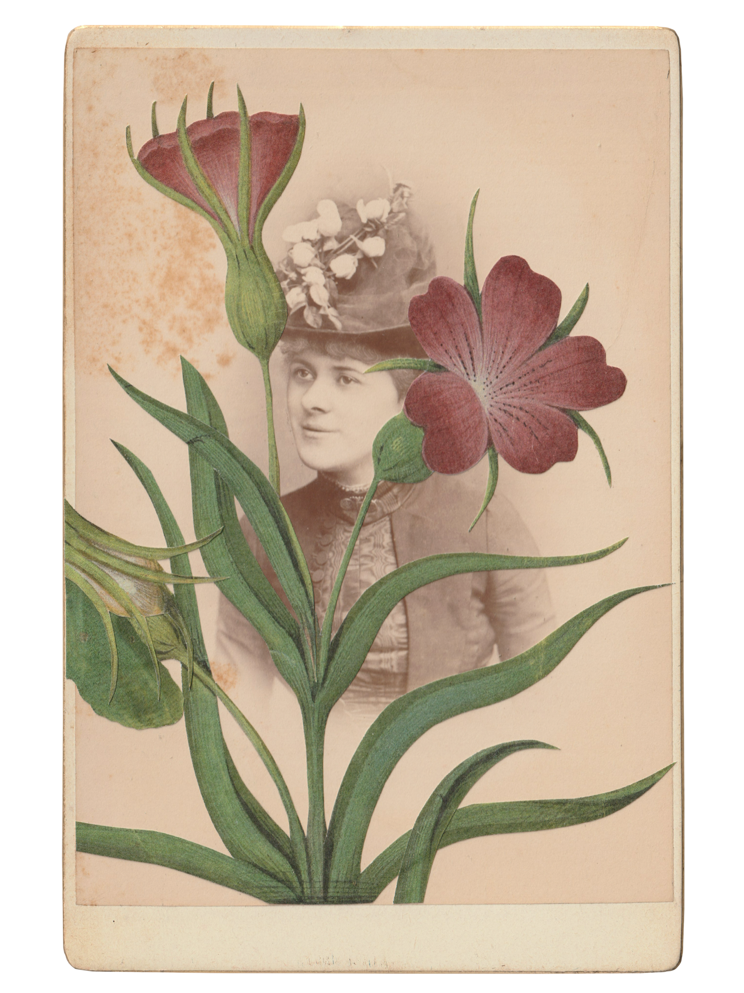 Gracia Haby _Plant Life 22.png