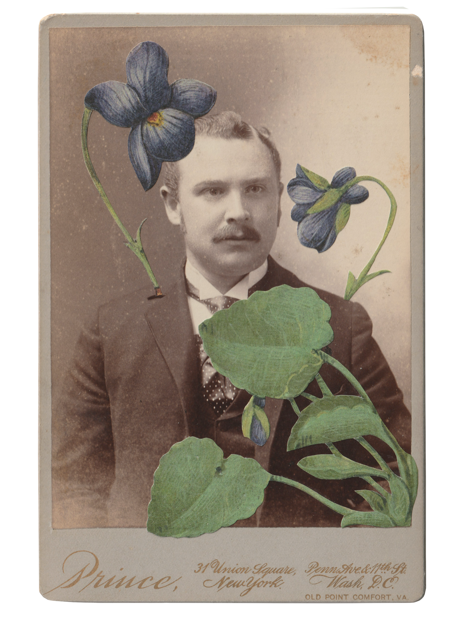 Gracia Haby _Plant Life 23.png