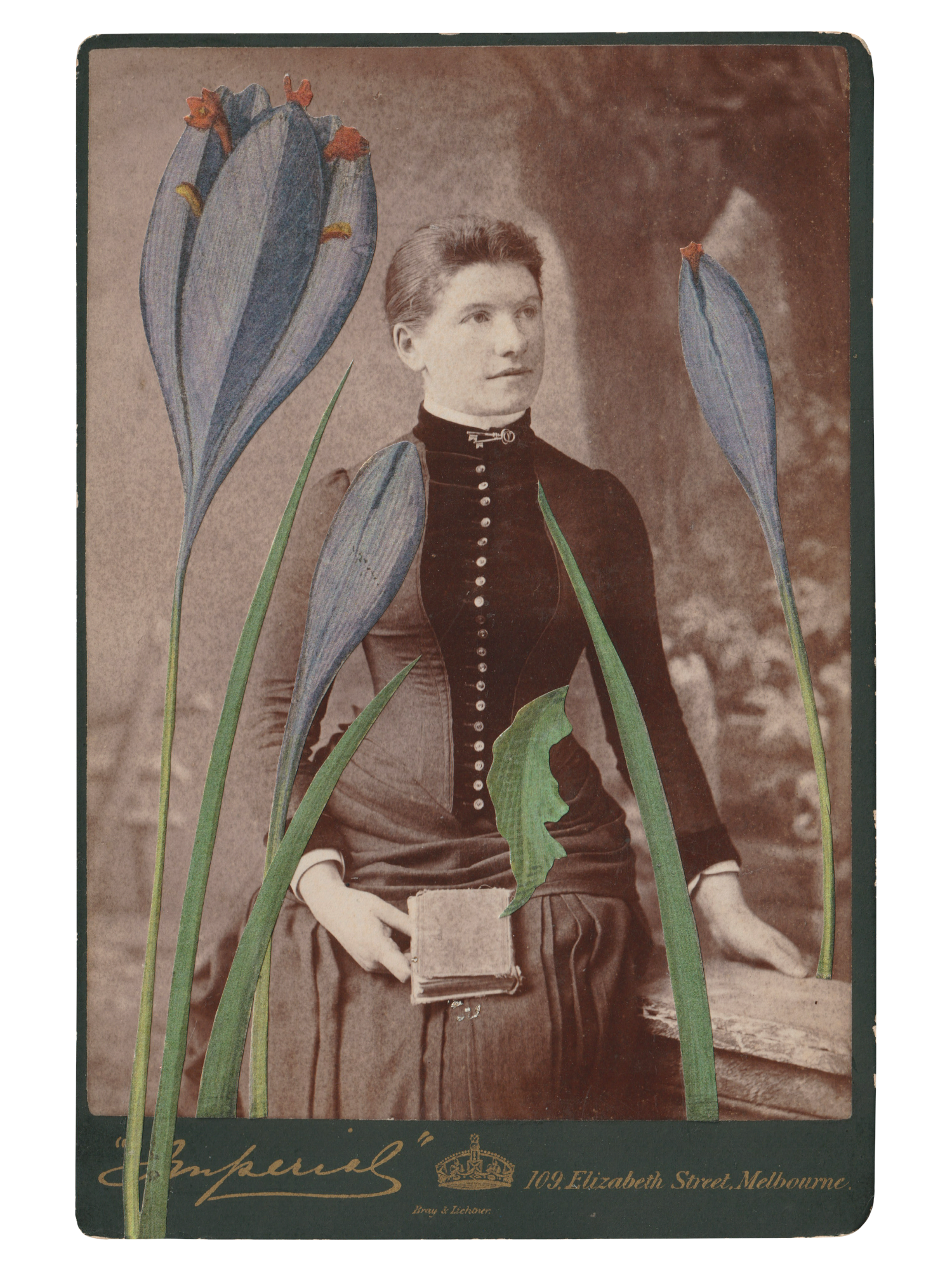 Gracia Haby _Plant Life 24.png