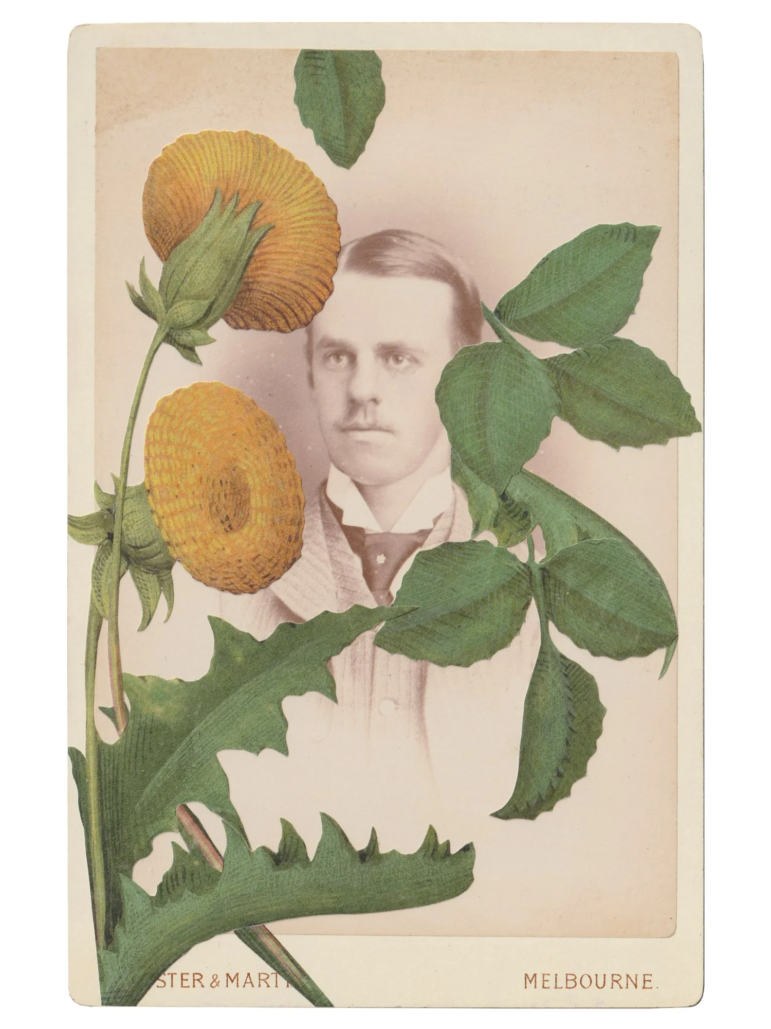 Gracia Haby_Plant Life 2026 12.jpg