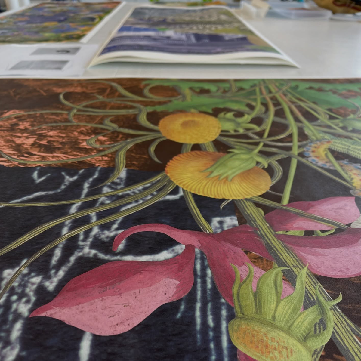 Gracia Haby_Louise Jennison_Velvet ant_2026_01.png