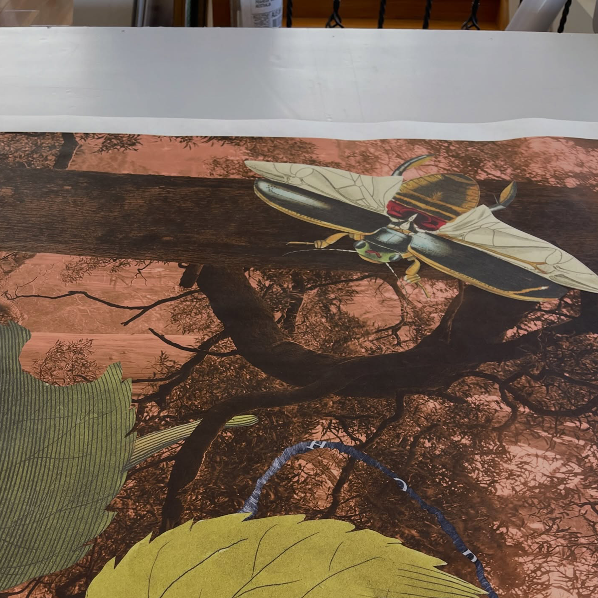 Gracia Haby_Louise Jennison_Velvet ant_2026_02.png