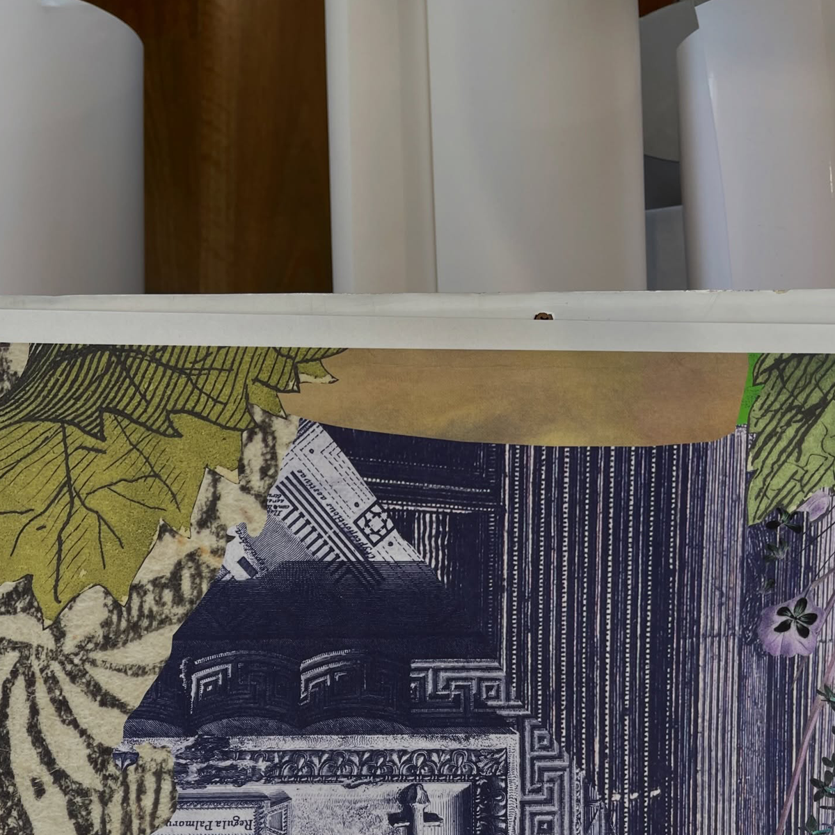 Gracia Haby_Louise Jennison_Velvet ant_2026_04.png