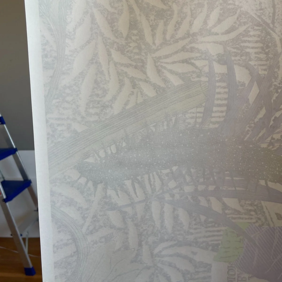 Gracia Haby_Louise Jennison_Velvet ant_2026_09.jpg