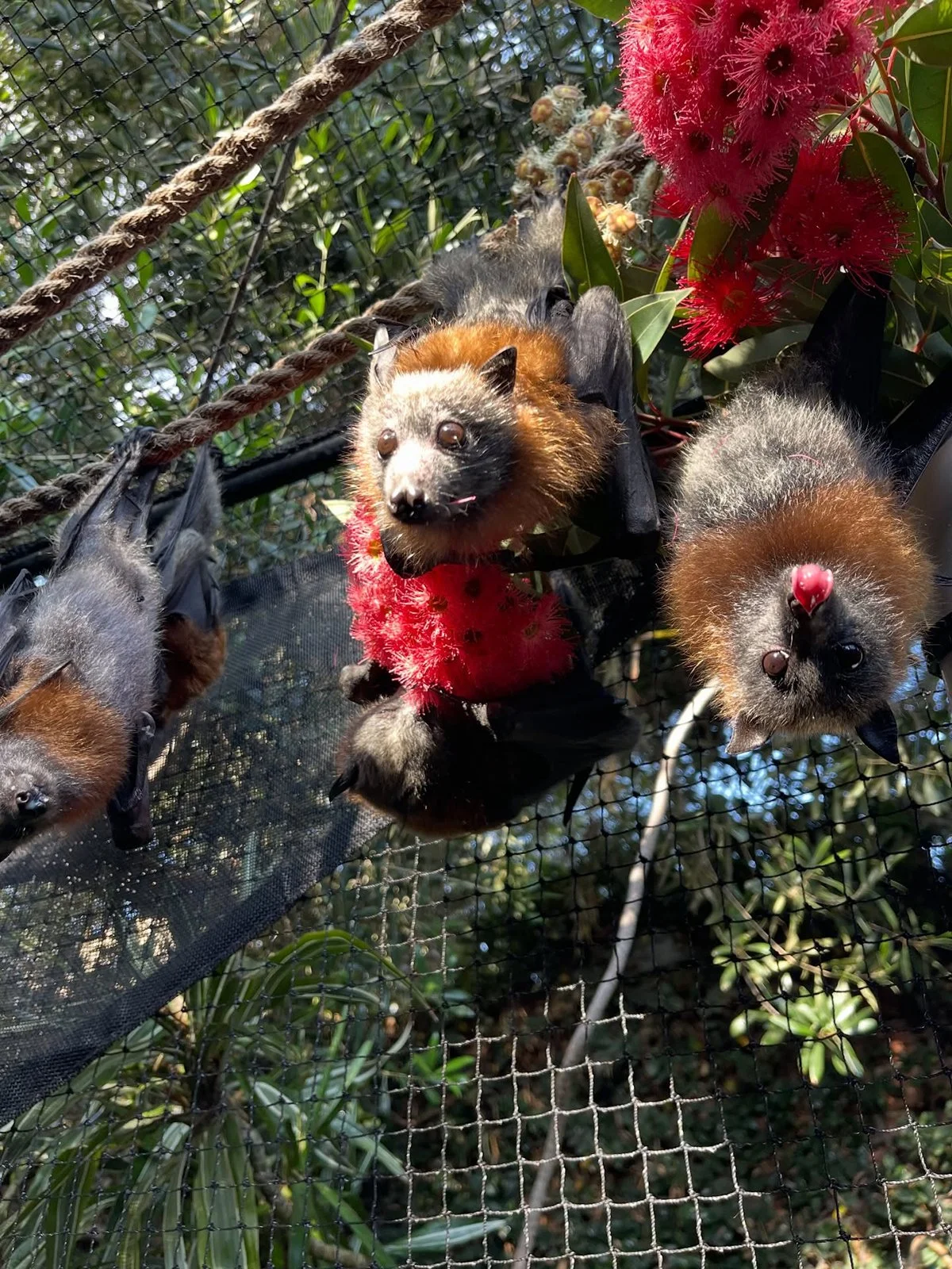 Gracia Haby and Louise Jennison summer 2026_11.jpg