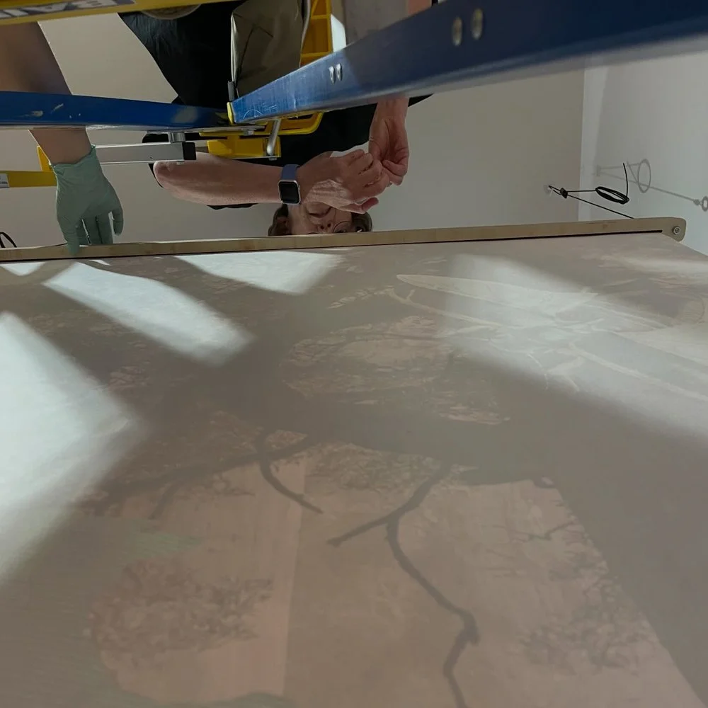 Gracia and Louise Velvet ant 2026_01.jpg