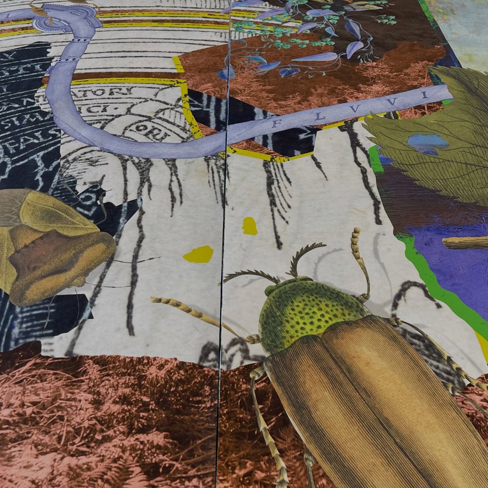 Gracia and Louise Velvet ant 2026_02.jpg