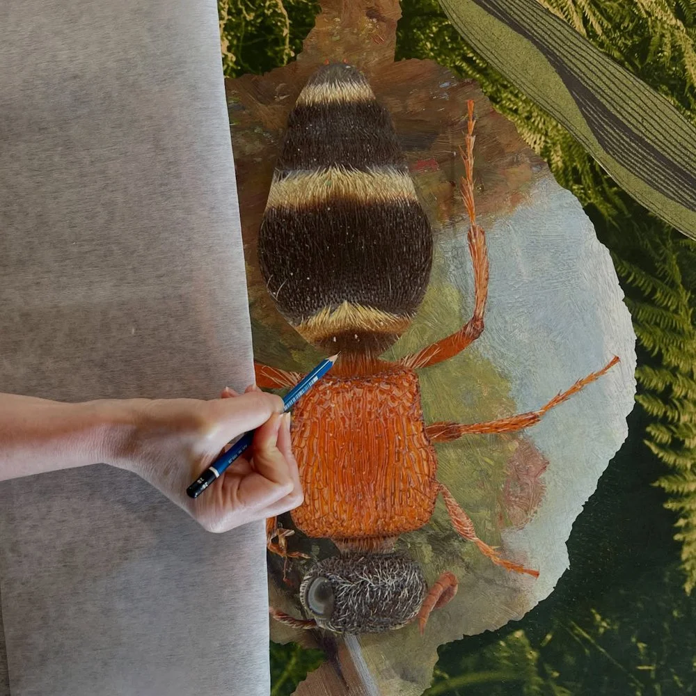 Gracia and Louise Velvet ant 2026_06.jpg