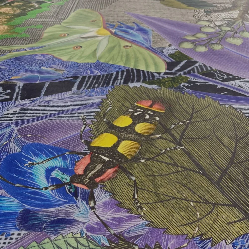 Gracia and Louise Velvet ant 2026_15.jpg